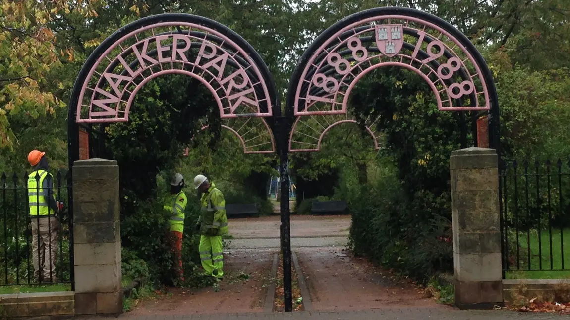 Scrub clearing by Walker Park entrance