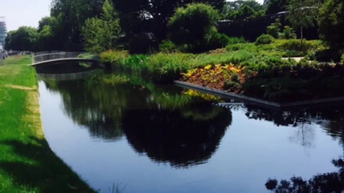 Jellicoe Water Gardens