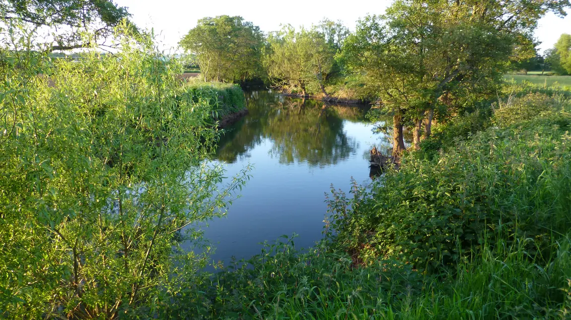 View of the River Tone