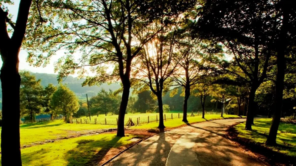 Shibden Park, Halifax