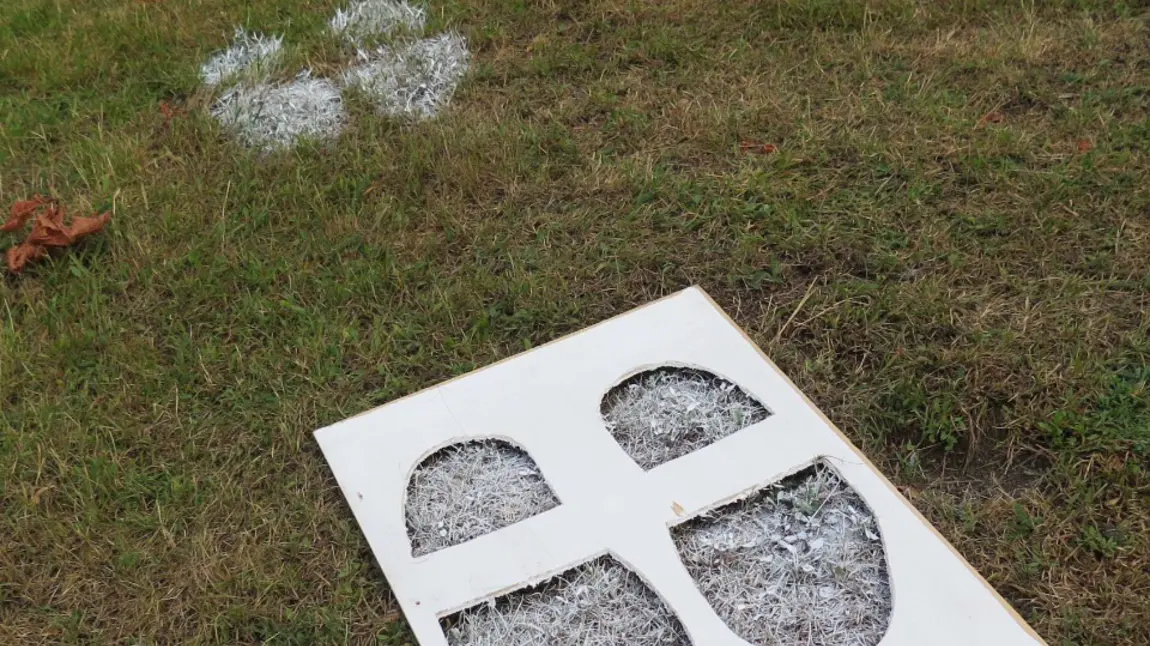Stencil of footprints on grass