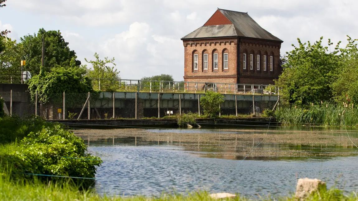 A view of part of the Walthamstow Wetlands