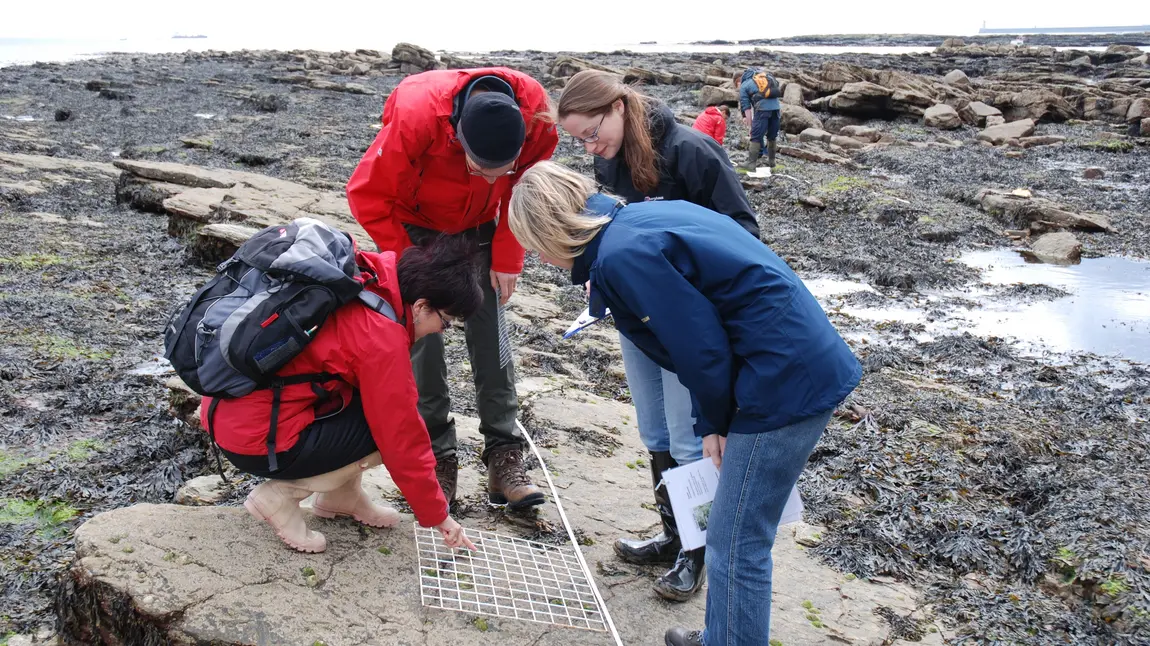 Volunteers undertaking survey work on the shoreline